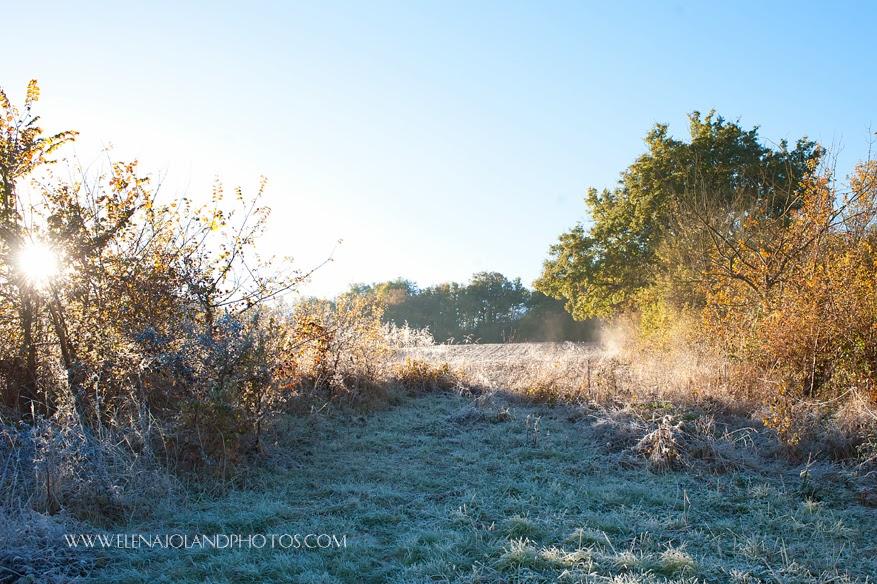 Hiver en Ariège. Lézat sur Leze.