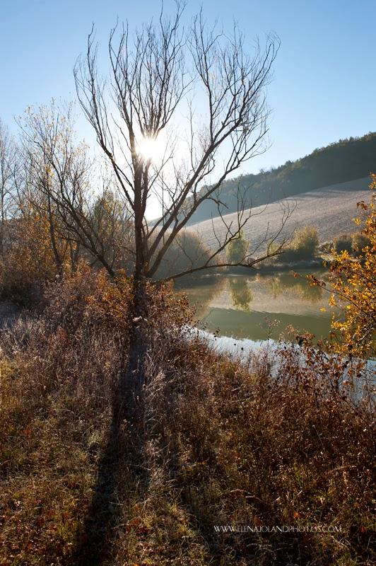 Hiver en Ariège. Lézat sur Leze.