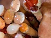 L'opale feu: pierre mexicaine emblématique
