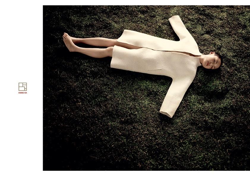 La Nouvelle Campagne de Shang xia