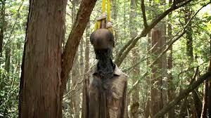Aokigahara: La Forêt des Suicidés