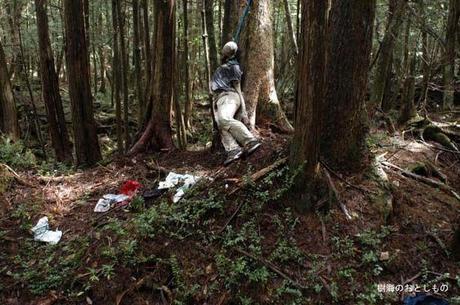 Aokigahara: La Forêt des Suicidés