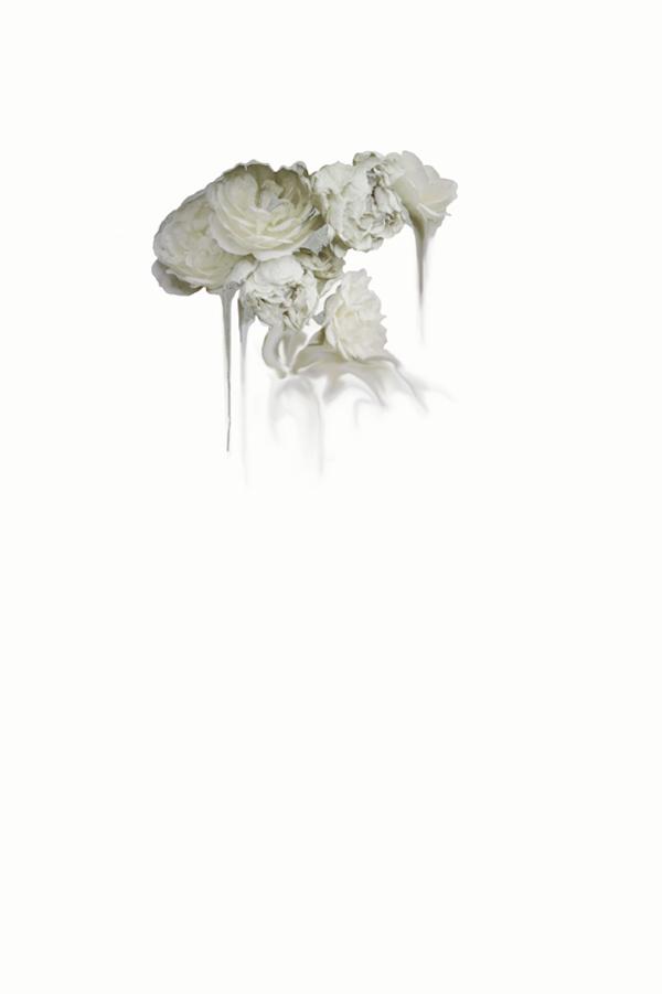 kingdom-come-silver-simone-truong