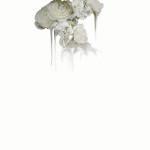 ART & CULTURE : Abstract Flowers