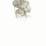 ART & CULTURE : Abstract Flowers