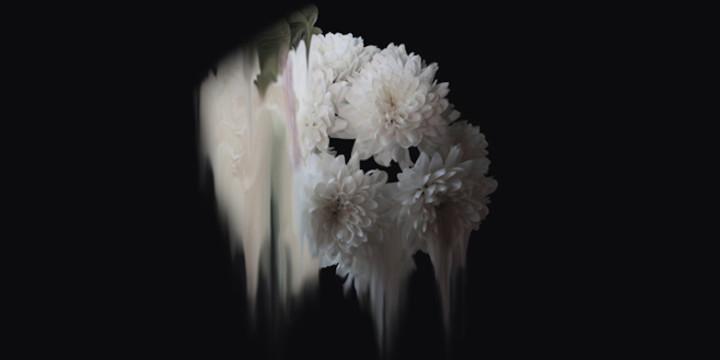 ART & CULTURE : Abstract Flowers