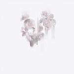 ART & CULTURE : Abstract Flowers