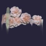 ART & CULTURE : Abstract Flowers