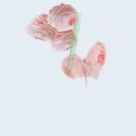 ART & CULTURE : Abstract Flowers