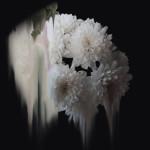 ART & CULTURE : Abstract Flowers