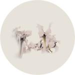 ART & CULTURE : Abstract Flowers