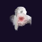 ART & CULTURE : Abstract Flowers