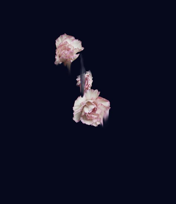 bittersweet-simone-truong