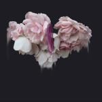 ART & CULTURE : Abstract Flowers