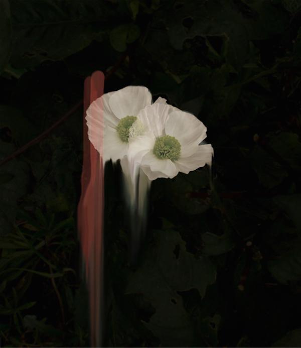 faux-reverie-simone-truong