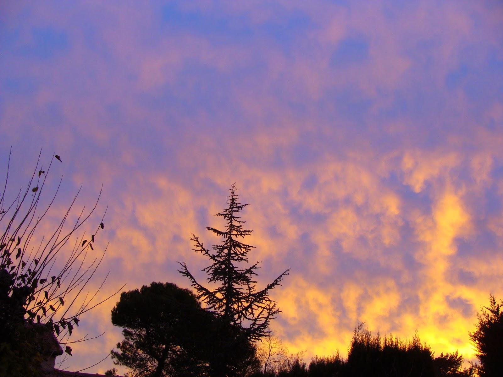 Le jardin dans tous ses états…