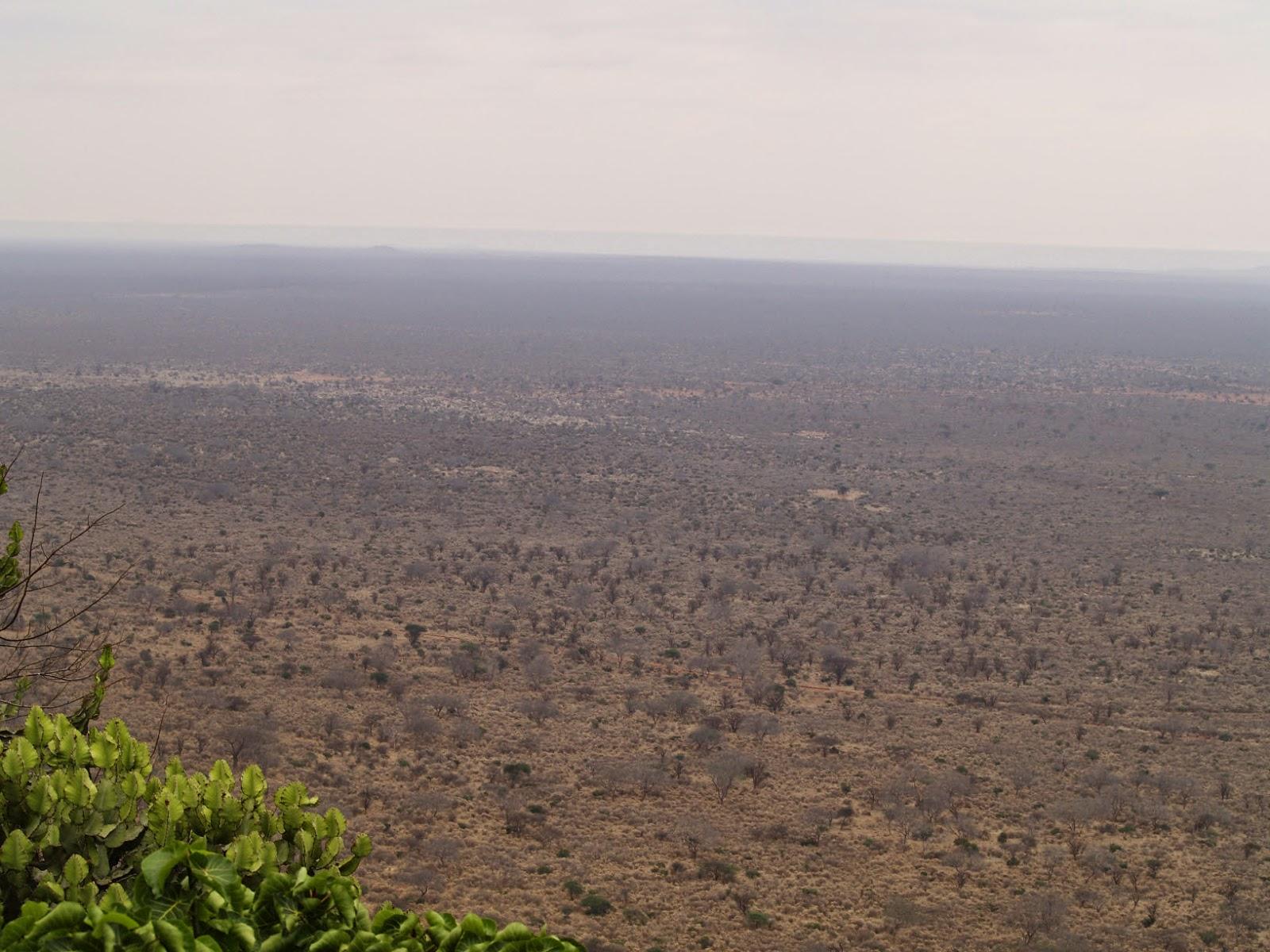 Voyage au Kenya: Tsavo ouest