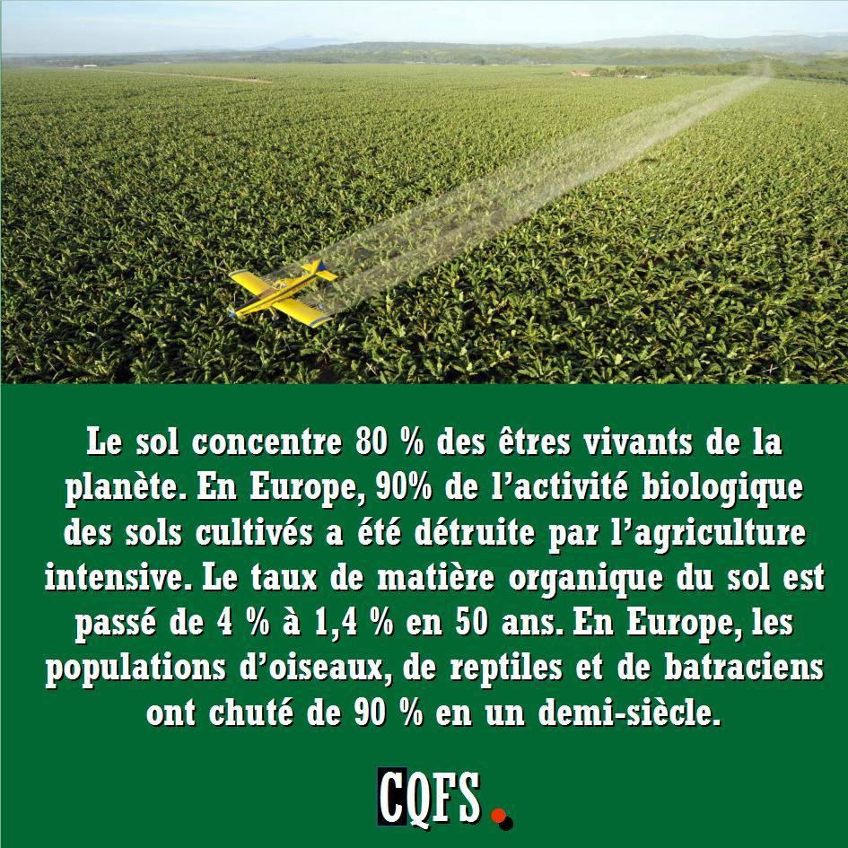 La destruction des sols par l’agriculture intensive Lydia et Claude Bourguignon, agronomes, la vie du sol et l’agriculture