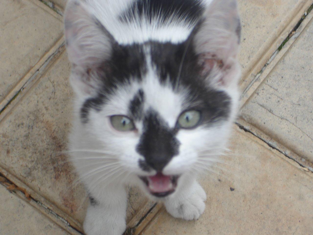 L'amour en minuscule