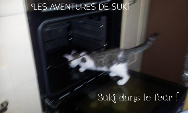 Les aventures de Suki