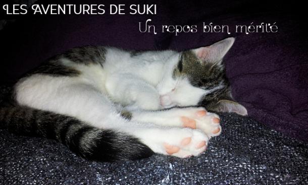 Les aventures de Suki