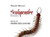 Scolopendre
