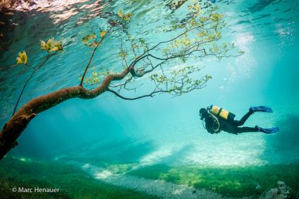 En promenade : l’extraordinaire Lac Vert en Autriche