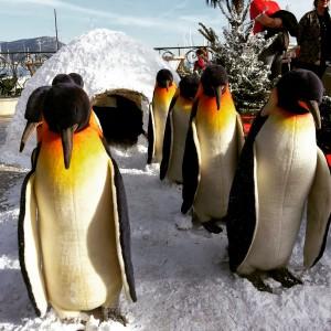 Marché de Noël de Saint-Jean-Cap-Ferrat : Regalà Mercat
