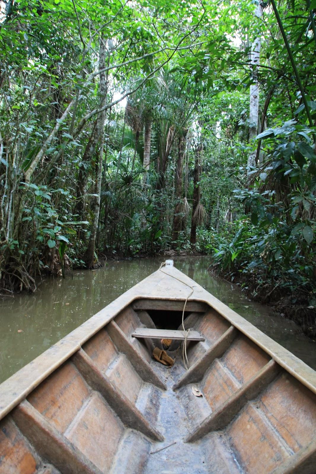 Voyage au Pérou 3: Amazonie - Le lac aux pirhanas