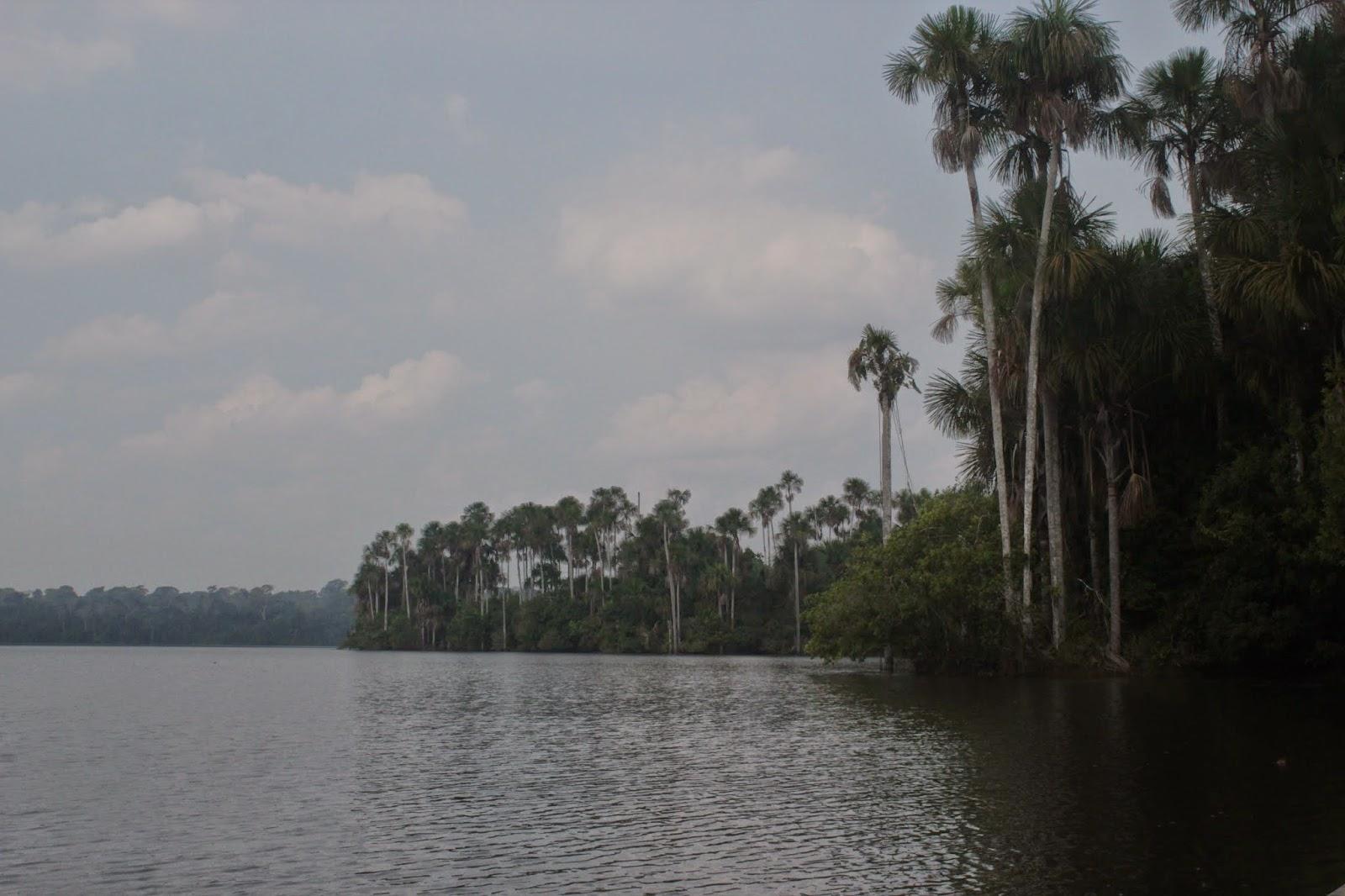 Voyage au Pérou 3: Amazonie - Le lac aux pirhanas