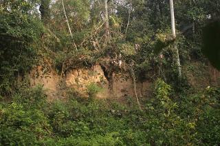Voyage au Pérou 3: Amazonie - Le lac aux pirhanas