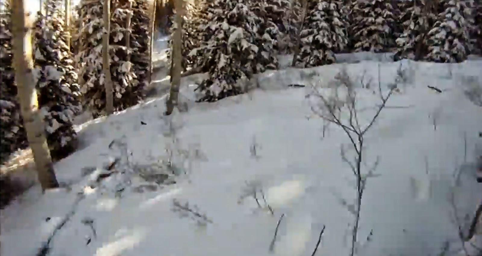 Trop tôt pour s'y faufiler ...