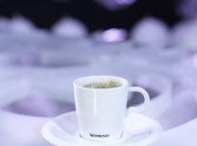 _MG_2222-Credits photos_Thomas_Bismuth-Mediatome