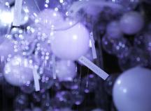 _MG_2061-Credits photos_Thomas_Bismuth-Mediatome