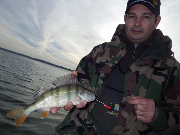 Pêche au Der en mode stage de pêche light