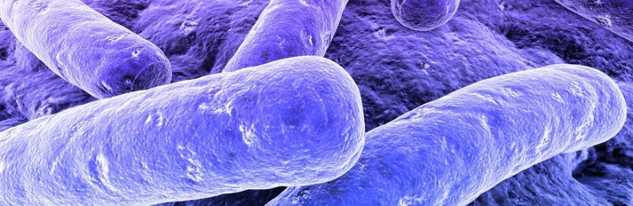 Comment le SYSTÈME IMMUNITAIRE contrôle le POIDS ? – Nature Communications