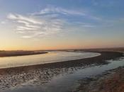 L’immuable changement