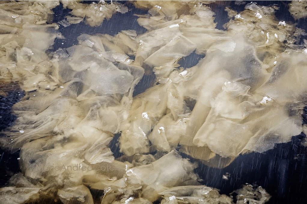 Comme une fine peau de glace