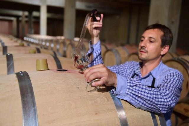 Selon le responsable de Vinovalie, beaucoup de viticulteurs... (Photo ERIC CABANIS, AFP)