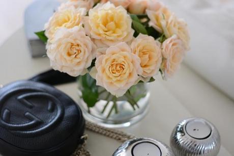 Un deux trois…CAT DSC_0055