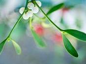 S'embrasser sous ....