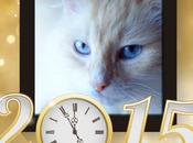 Bonne heureuse année 2015