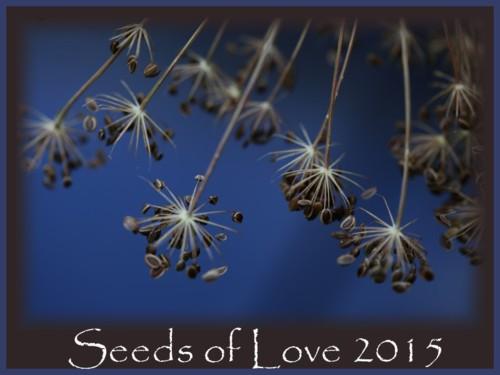 Seeds of Love : J-30