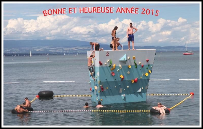 Bonne année 2015.jpg