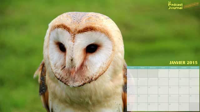 Photo originale (c) Jean-Pol Grandmont