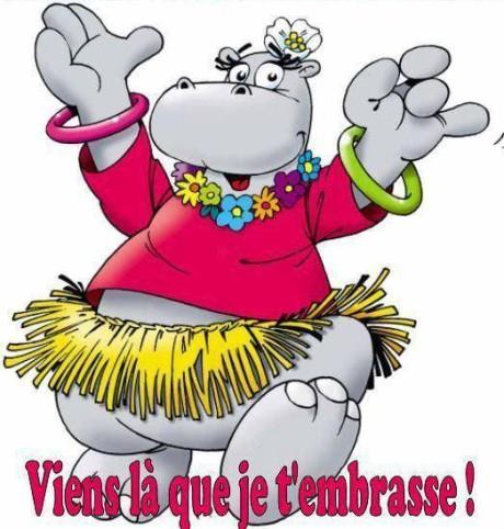 Belle et heureuse nouvelle année !!!