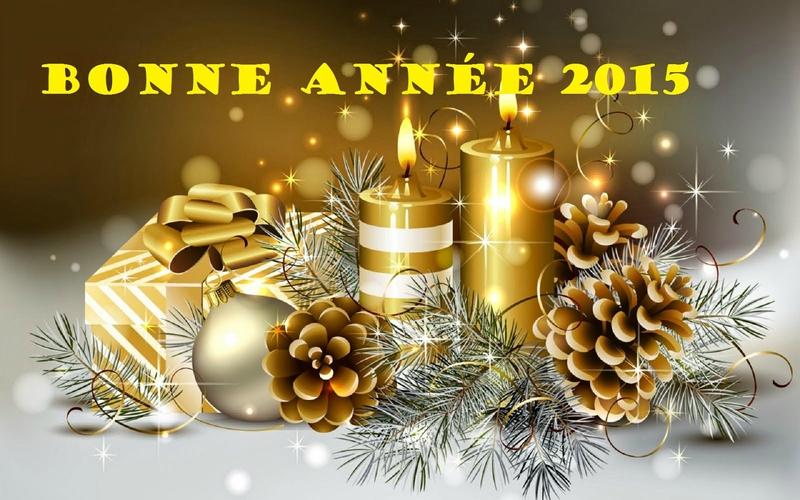 bonne-annee-2015-en-gold