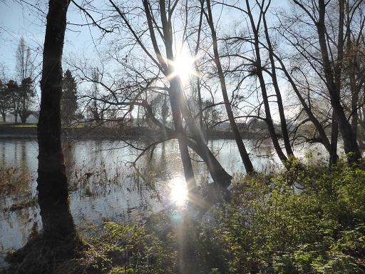 Le premier jour de l'année donne le ton