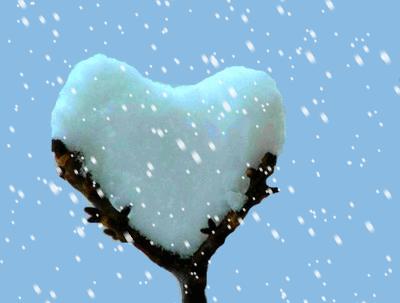 NATURE. un coeur de neige avec animation