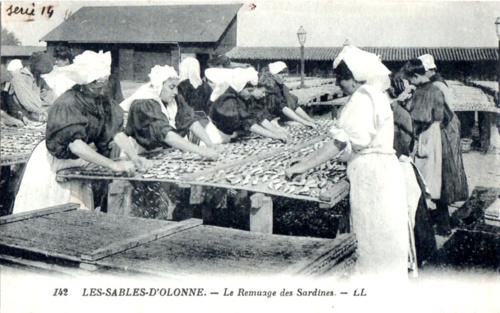 Les Sables d'Olonne, port sardinier